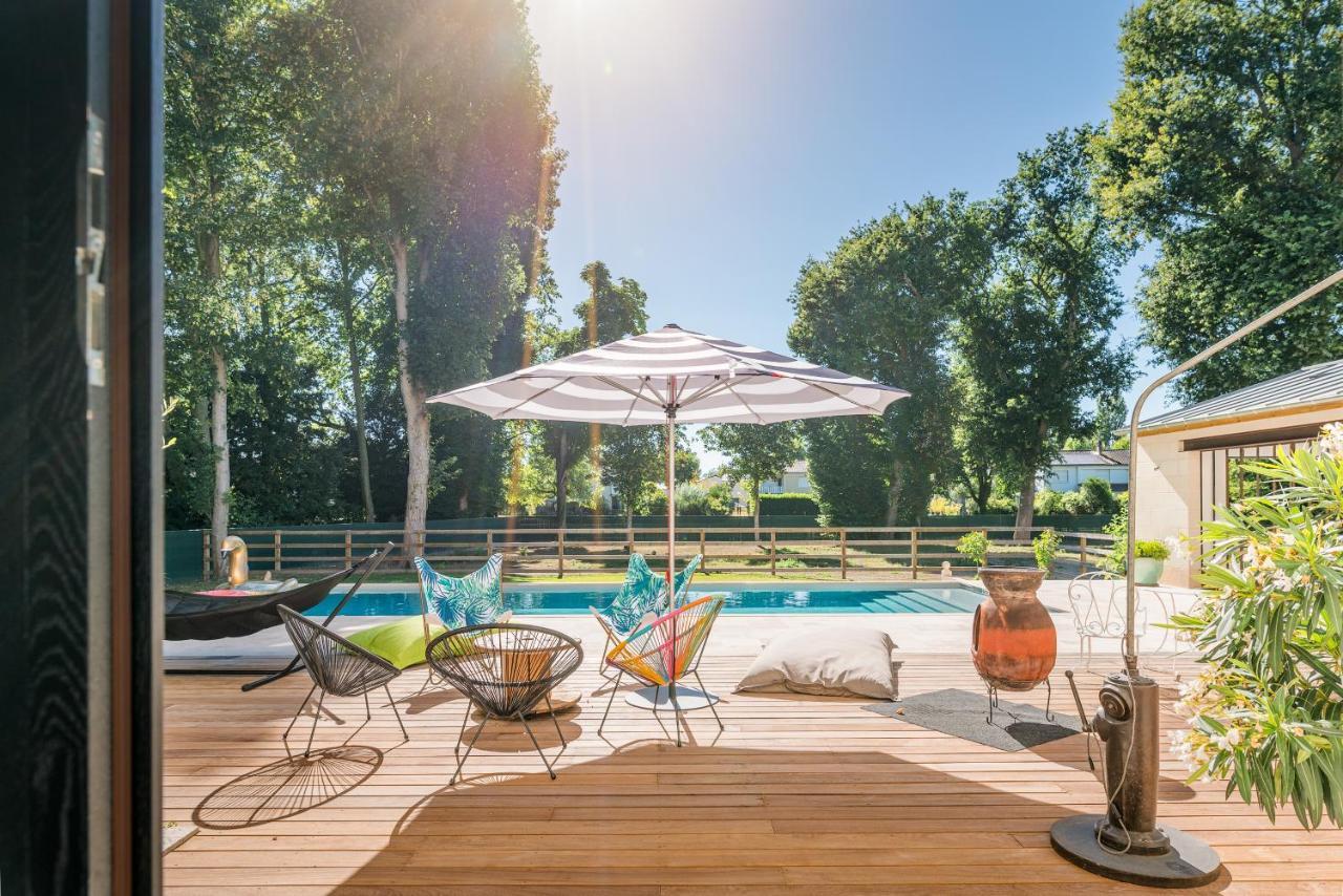 Appartement Du Chateau De La Caillerie Avoine Εξωτερικό φωτογραφία