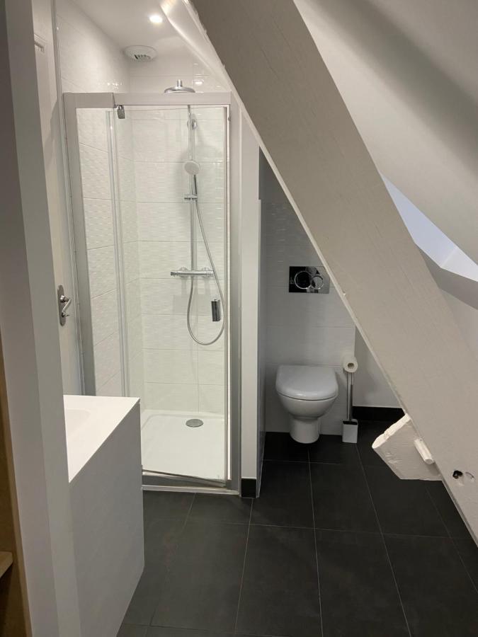 Appartement Du Chateau De La Caillerie Avoine Εξωτερικό φωτογραφία